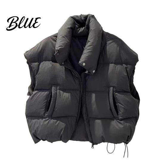 Simple Design Vest Waistcoat with Sleeveless Zipper Stand Collar Women Down Closure Winter Pockets Solid