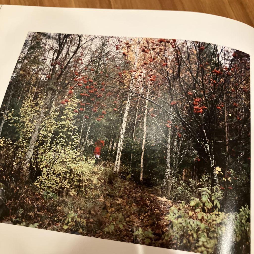 [USED] The Helsinki School Vol.3