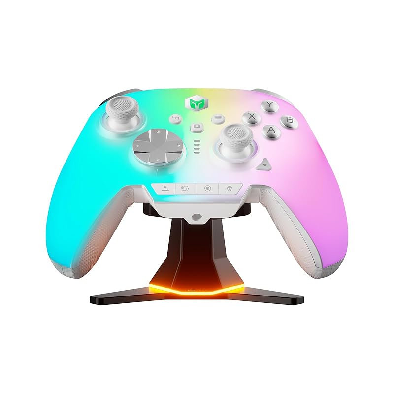 

Зарядна станція для контролерів BIGBIG WON, сумісна з Rainbow 3, Rainbow 2 Pro, моделлю BLITZ2 TMR, моделлю BLITZ2 ALPS та Dynasty Warriors ORIGINS