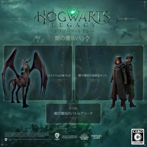 Hogwarts Legacy Deluxe Edition [Limited Edition Included] DLC Dark Arts Pack (Dark Arts Accessories Set & Dark Arts Battle Arena & Thestral Vehicle) -
