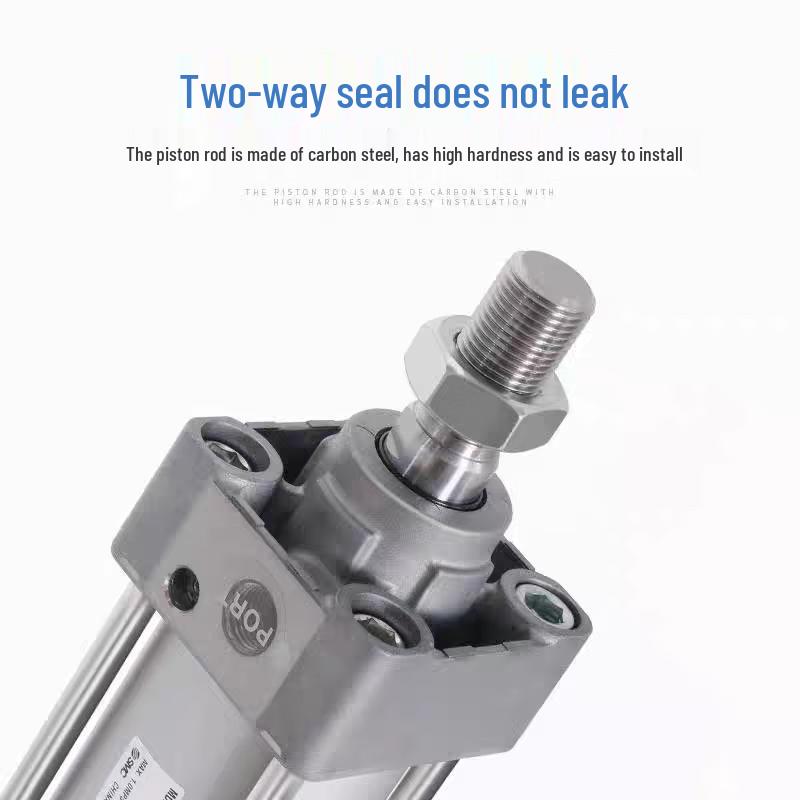 Leiqi SMC Standard Air Cylinder CN plug (adapter included)