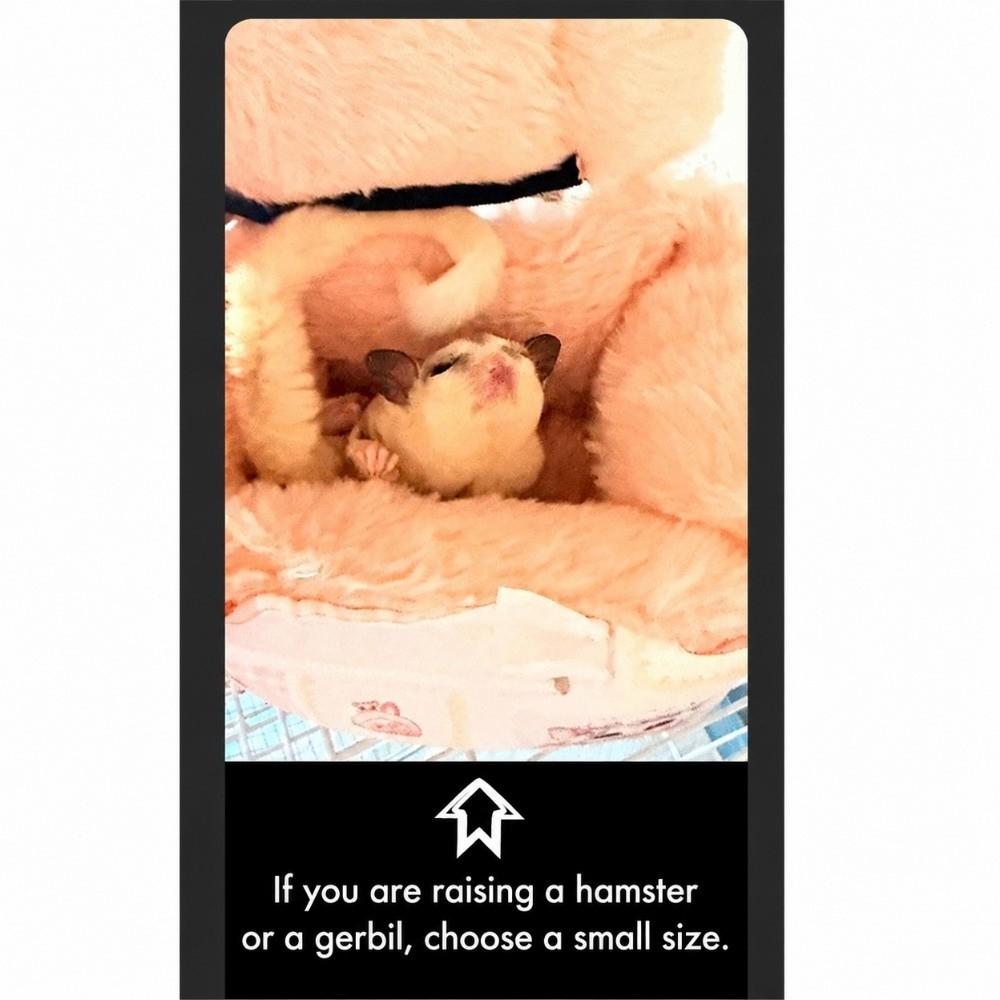 Warm Bird Sleeping Bag Detachable Bird House Cute Pet Hammock Outing