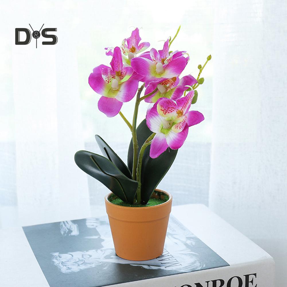 

Цветущий букет цветок бабочка орхидея горшок бонсай сад дома свадьба декор