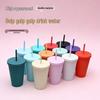 16oz Double-Walled Plastic Cup with Color Straw and Flat Lid - High Aesthetic Travel Water Bottle