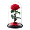 Eternal Flower Glass Cover Little Prince Rose Valentine's Day Gift Premium Finished Gift Box