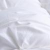 PLOVER Premium White Duck Down Quilt