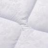 FUANNA All-Season Warm Core Fiber Quilt