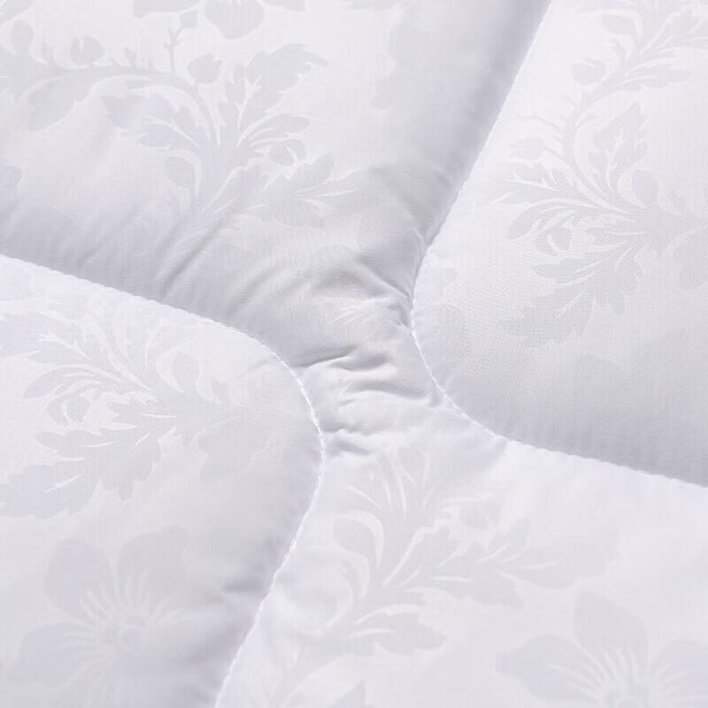 FUANNA All-Season Warm Core Fiber Quilt
