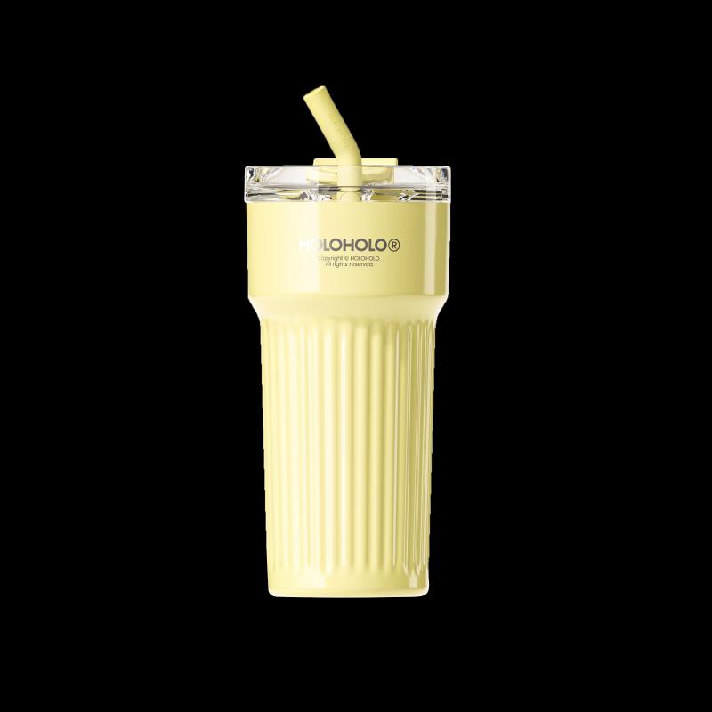 HOLOHOLO Roma Series RMB-02 316 Stainless Steel Insulated Straw Cup