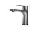 TLXT Gunmetal Grey Stainless Steel Basin Faucet