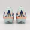 FZ1392-300 Nike Vapor 16 Elite Mercurial Dream Speed Barely Green (Men's)
