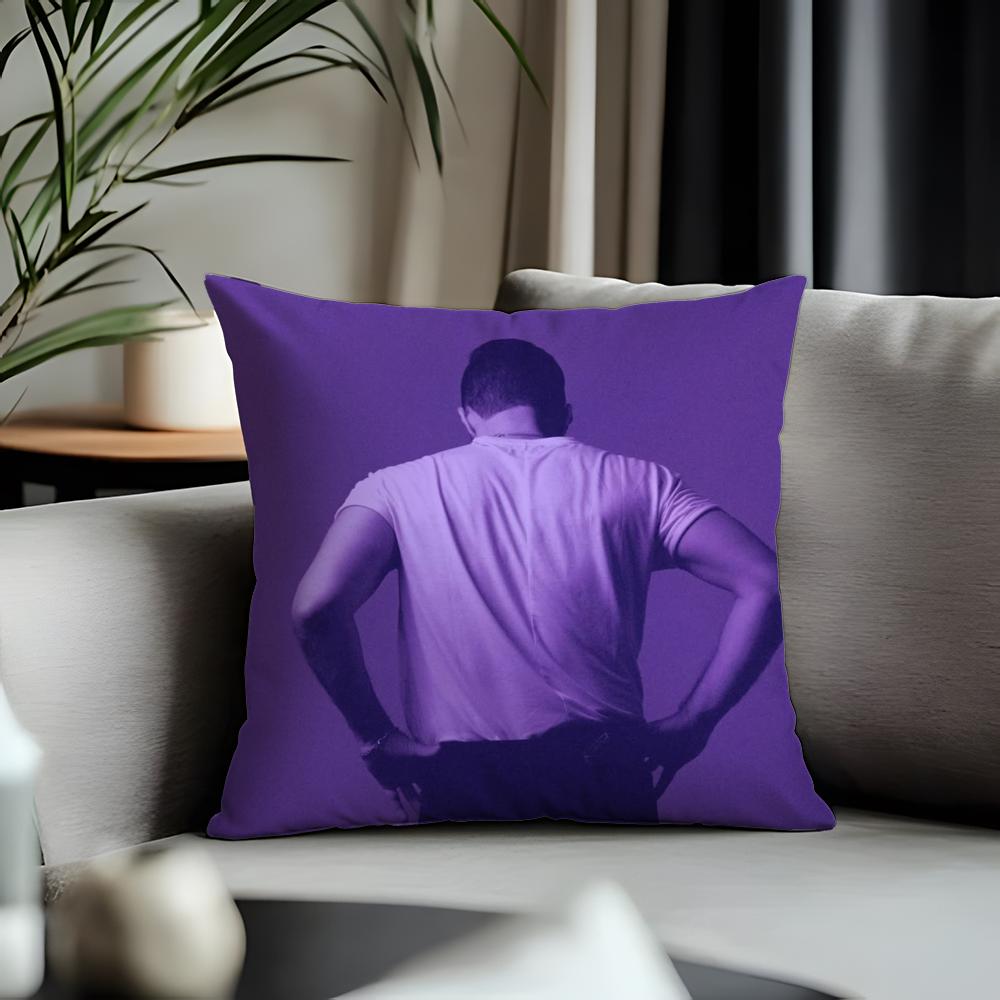 Trending JJose Madero Vizcainoed Cushion Cover Antidustmite Pillowcase Invisible Zipper Silky Short Plush Sofa Cushion Cover