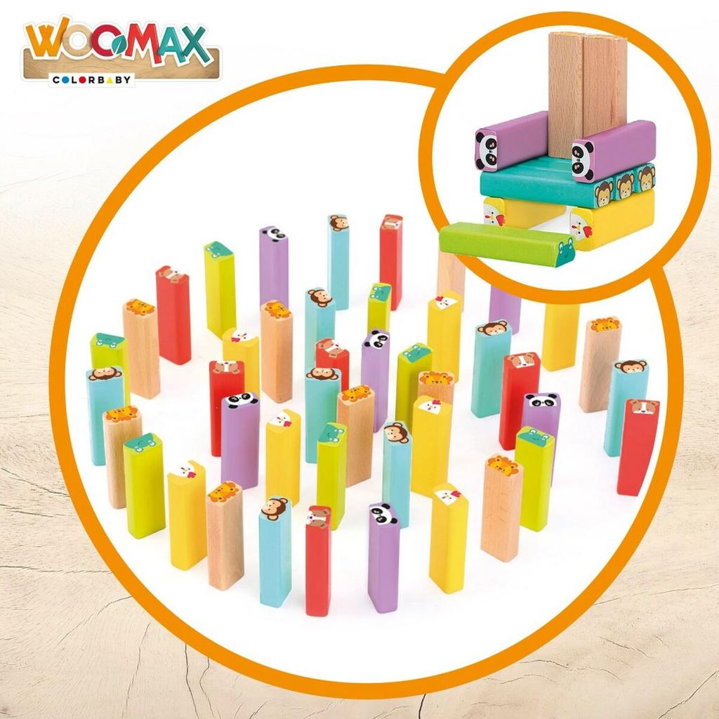 Construction Set Woomax (6 Units)
