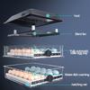 36/56/64PCS Eggs Automatic Incubator Fully Automatic Farm Bird Quail Brooder High precision temperature Control Poultry Hatcher