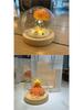 Sea Urchin Shell Jellyfish Night Light: Heart-Shaped Ornament for Mother's Day or Birthday