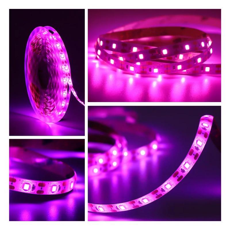 5M Led Grow Plant Lights Strip Full Spectrum Indoor Seeds Greenhouse Lighting Phyto Lamp For Plants Hydroponics Growing System