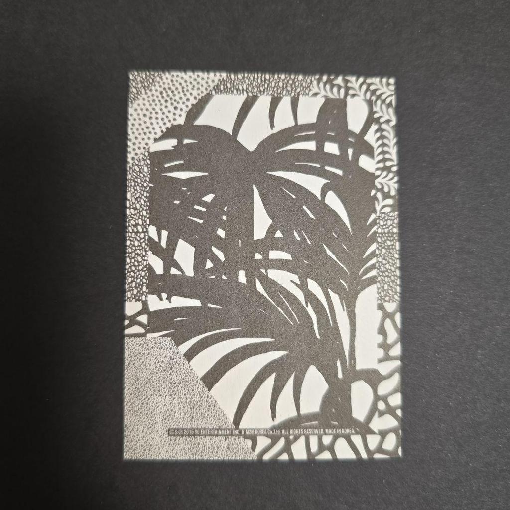 [USED] BIGBANG 2015 WELCOMING SOL Taeyang Mini Photo Card