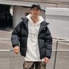 Li Ning Hot Pot Down Jacket Series Letter Zipper Stand Collar Comfortable Breathable Casual Down Jacket Unisex Outerwear Black AYMT293-4