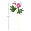 Lebensecht 2-köpfige Simulierte Pfingstrose Blume Seide 47cm Fake Pfingstrosenstrauß Schöne Blumendekoration Brautstrauß