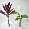 Wall-mounted Irregular Shape Glass Crafts Hydroponic Vase Flower Vase Flower Pot Plant Container