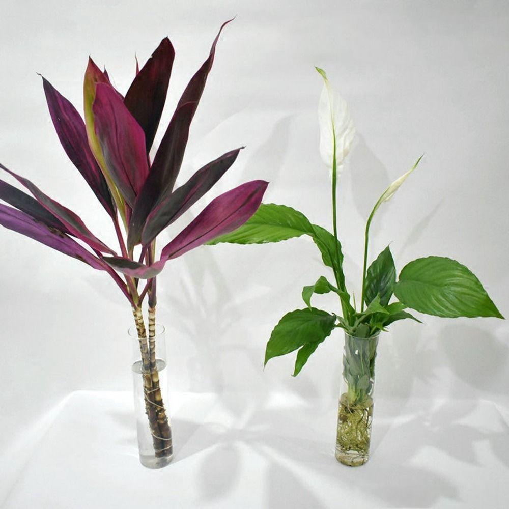 Wall-mounted Irregular Shape Glass Crafts Hydroponic Vase Flower Vase Flower Pot Plant Container