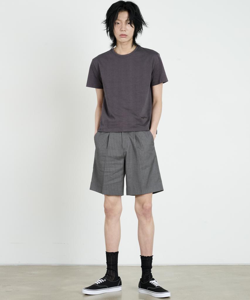 DUSTYWHITE Gray Pinstripe Shorts