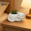 Healing Visual Style Planter 3D Printed Sleeping Cat Flowerpot, Mini Desktop Planter, Unique Indoor Garden Decor Decorative Plant Holder for