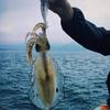 Светящаяся LED приманка для морской рыбалки на кальмара, осьминога, каракатицы