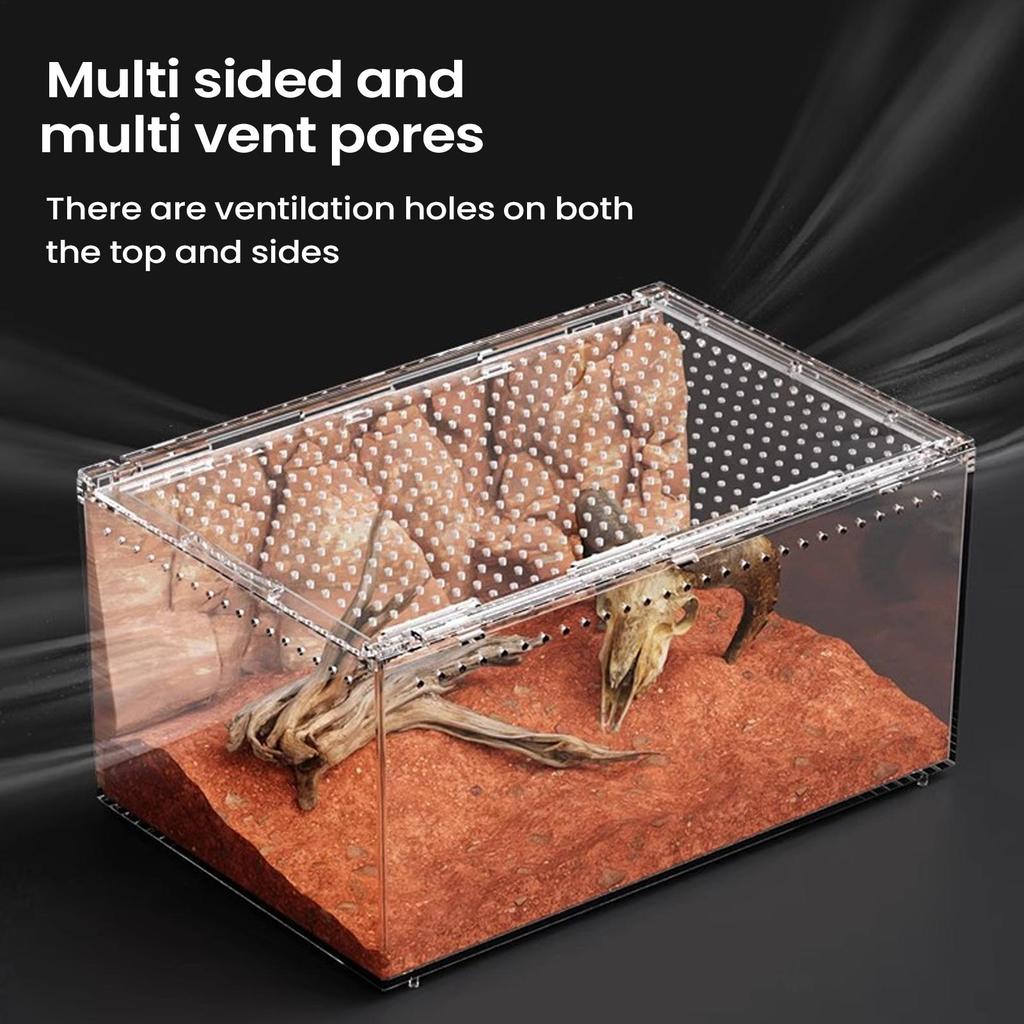 Spider Enclosure Transparent Reptile Enclosure Snake Terrarium for Gecko Snake Frog Chameleon Bearded Dragon Tortoise