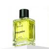 KENAZ Triumph Men Perfume 100ml | Dubai Crafted |