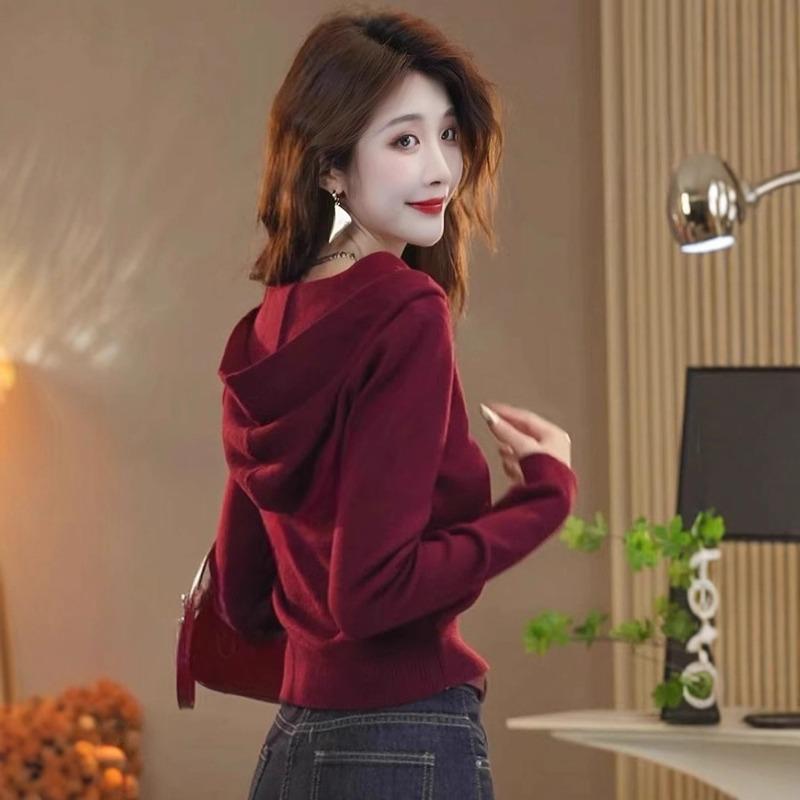 Design sense niche simple hooded sweater women's autumn new versatile fashion knitted top