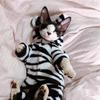Warm Cats Clothing Winter Sphynx Hairless Cats Clothes Soft Thick Elastic Double-sided Plush Cat Clothes Cloud Pet Pajamas