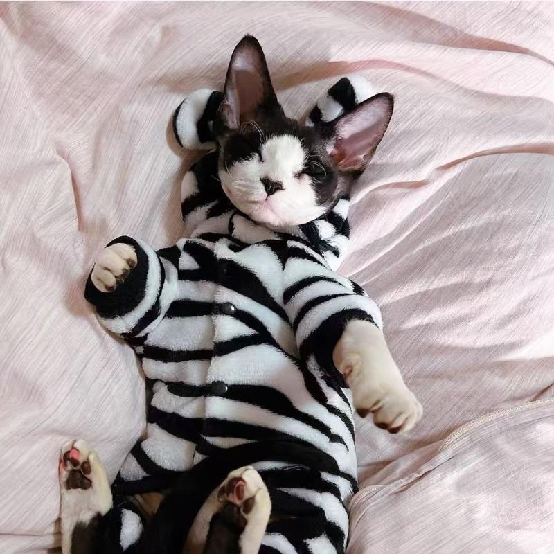 

Warm Cats Clothing Winter Sphynx Hairless Cats Clothes Soft Thick Elastic Double-sided Plush Cat Clothes Cloud Pet Pajamas S