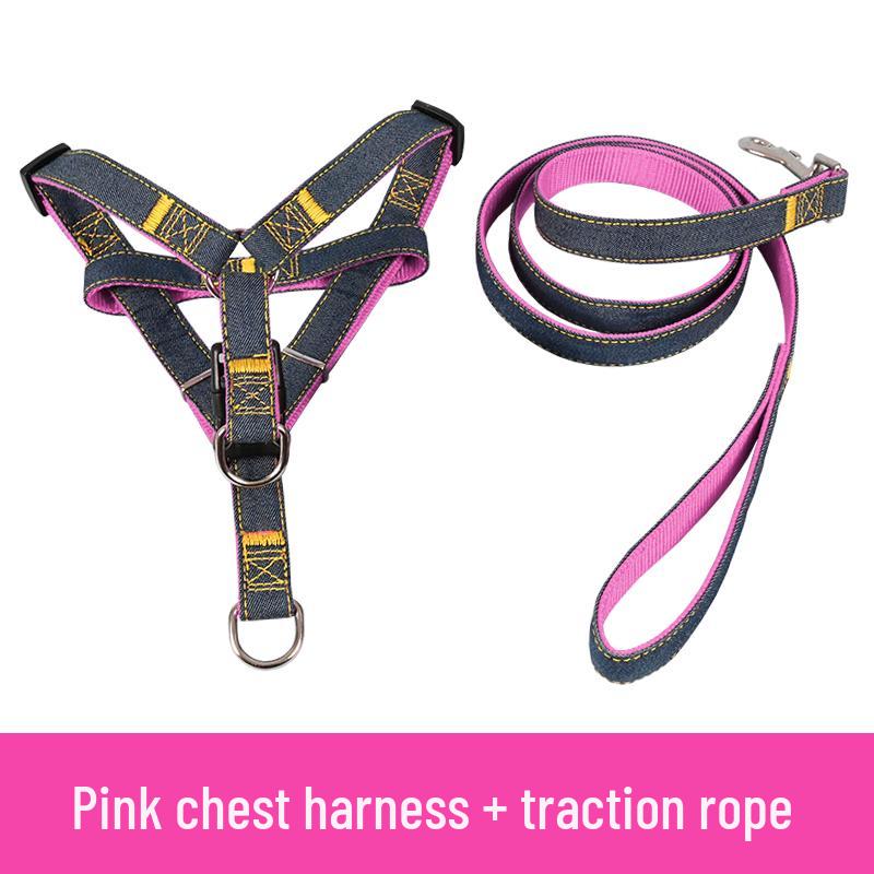 Multi-Size Dog Leash & Collar Set for Walking - Suitable for Small To Large Breeds