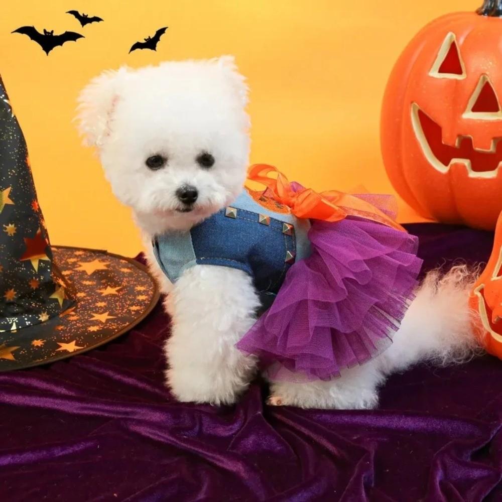 Pumpkin Dog Halloween Dress Chihuahua Size Funny Pet Apparel Cute Dog Lace Skirt  Photograph Props