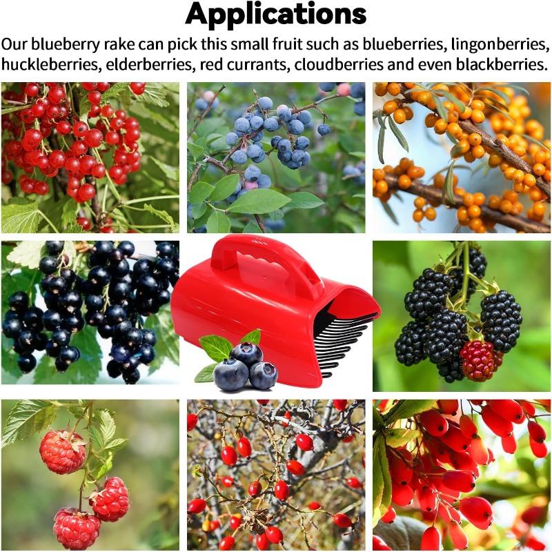 Blaubeerpflücker mit Metallkamm & Metallgriff, Plastikschaufel für Blaubeeren Preiselbeeren Huckleberries, Handliches Gartengerät zur Obsternte