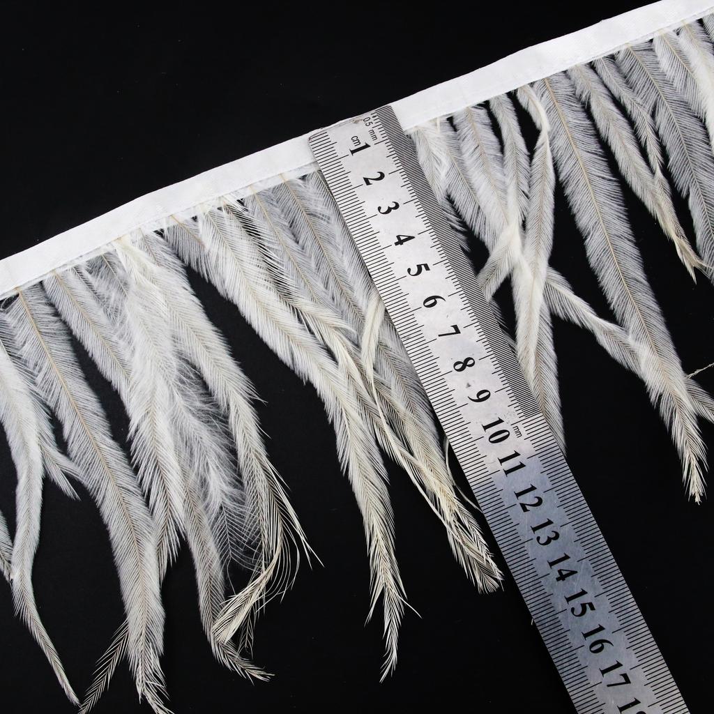 Feather1/5/10 Meter Australia Ostrich Feathers Cloth Trims 4-8 Inch/10-20CM Ribbon for Carnival Party Diy Costume
