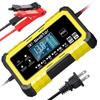 12/24V 15A High Current Smart Charger for Lead-Acid & Lithium-Iron Batteries