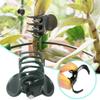 100 Stück Clips für Kletterorchideen Clips Stützclips Gesicherte Kunststoffclips Befestigungsclips Wiederverwendbare Gartenclips Reben Schlüssel Clip