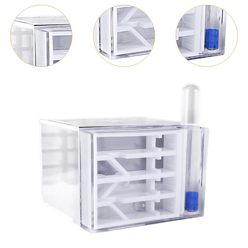 ANT Farm Toys Easy to Assemble Learning Science Educational Workshop DIY ANT House for Birthday Home Children's Day Decor Gift