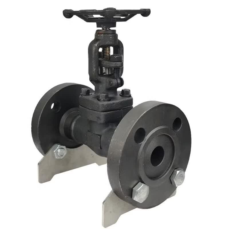 

Forged Steel Flange Globe Valve