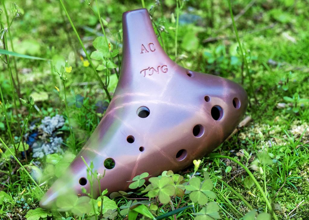 TNG Ocarina [Brown  12-Hole  AC] Single (with Dedicated Case) High-Quality Ocarina for Wind Instruments, Purple Sand