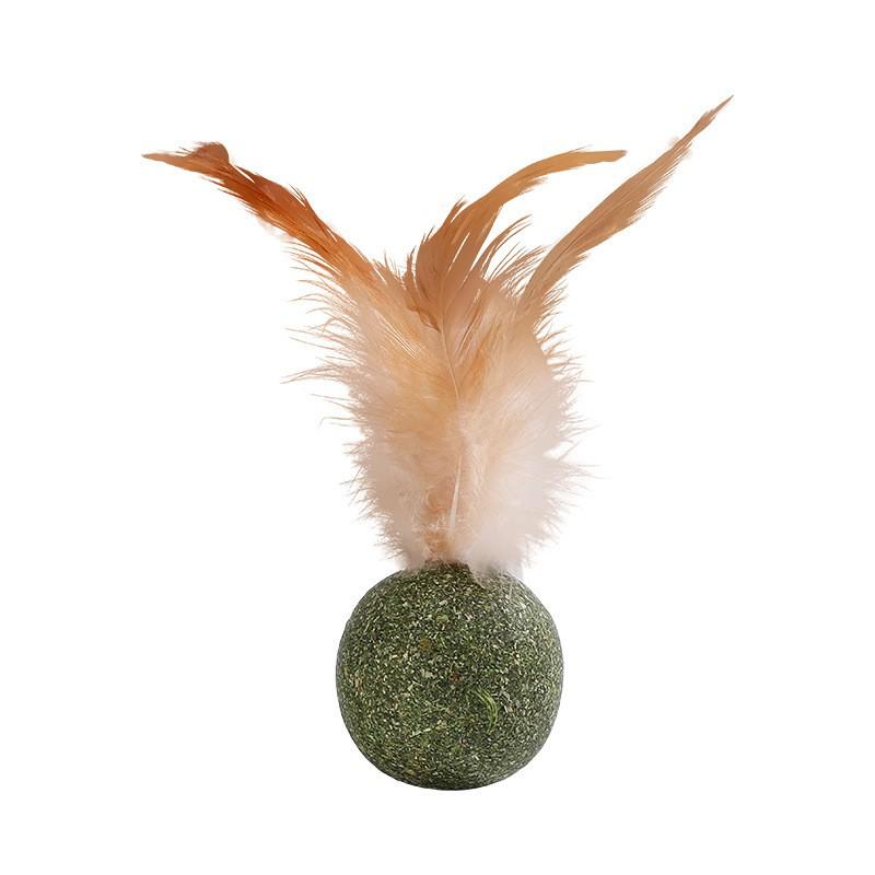 Catnip Lollipop: Cat Treat & Teaser with Matatabi Teething Stick