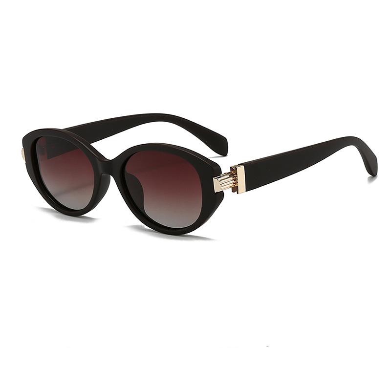 Retro Oval Polarized Glasses with Anti-Glare Lenses - Chic Small Frame, Ideal for Party Wear & Travel, Glasses Accessories