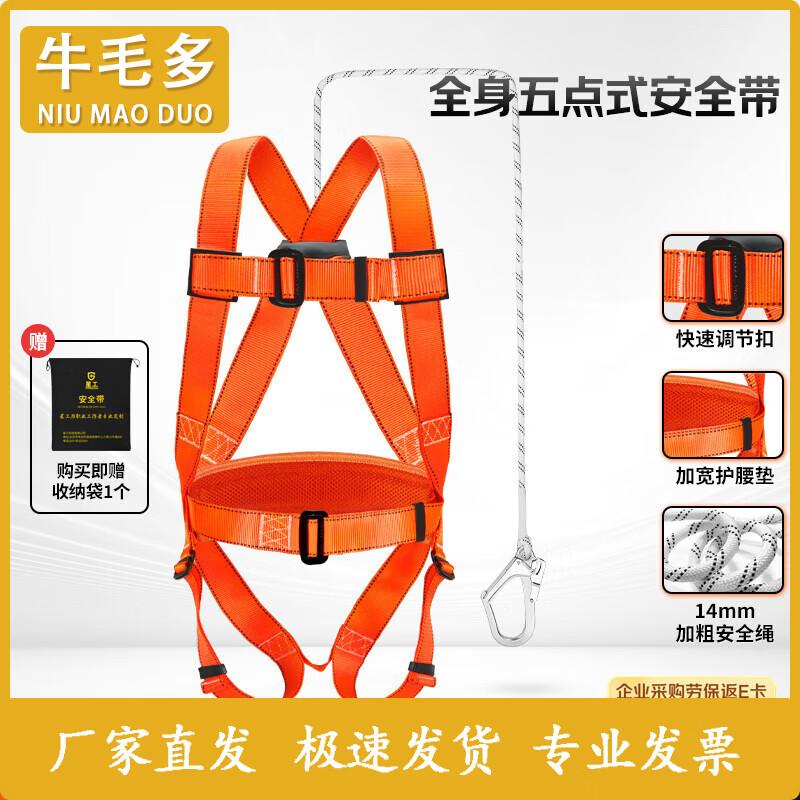 Five-Point Full Body Safety Harness