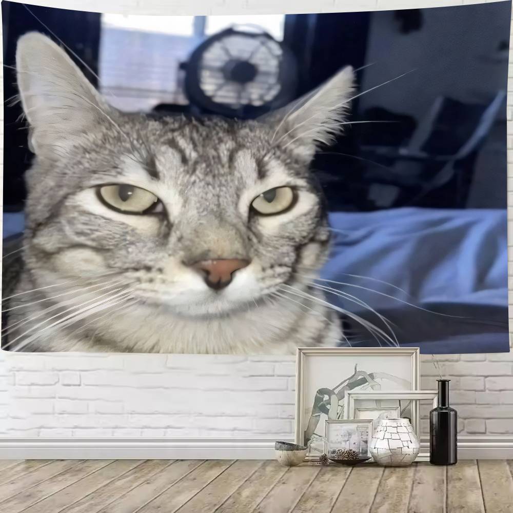 Large Big Funny MEME Cat Game Room Tapestry Living Room Bedroom Gamer Room Decoration Large Luxury Tapestry