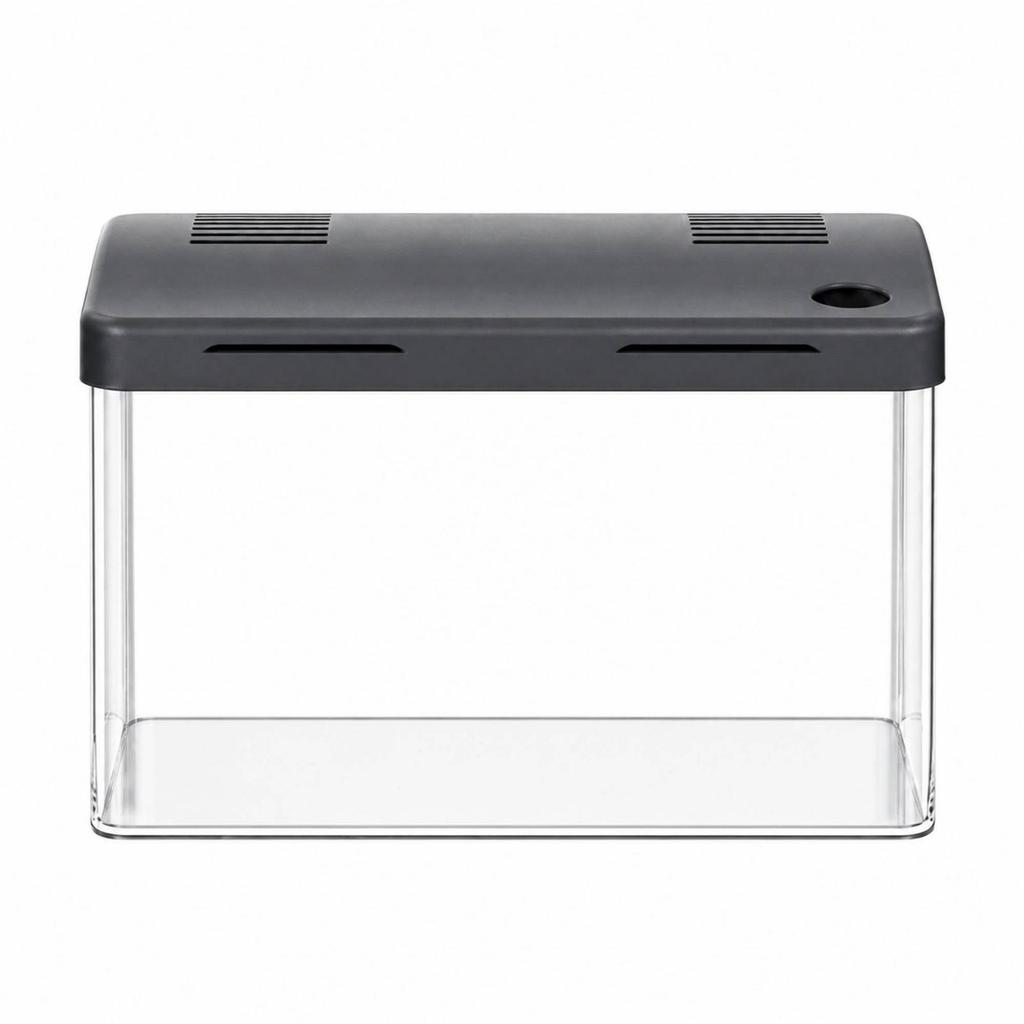 Desktop Aquarium with Dark Lid Covered RoundedCorner Acrylic SpaceSaving Clear tank