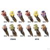 12 Pcs Birds Figurines Artificial Foam feather type bird for crafts Decoration home and garden
