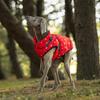 S-5XL Pet Dog Jacket with Harness Winter Warm Dog Vest Clothes Outdoor Waterproof Dog Coat for Small Medium Large Dogs