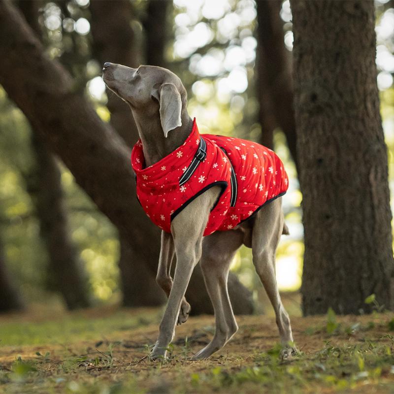 S-5XL Pet Dog Jacket with Harness Winter Warm Dog Vest Clothes Outdoor Waterproof Dog Coat for Small Medium Large Dogs